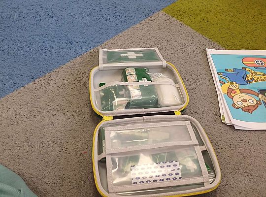 Gr.IV Światowy Dzień Pierwszej Pomocy -projekt "Szlachetnie i zdrowo z małpką Iwoną"