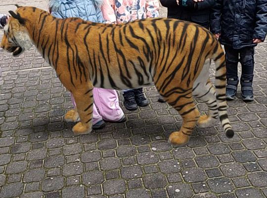 Gr.IV Wśród zwierząt egzotycznych