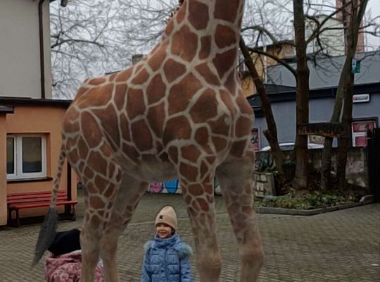 Gr.IV Wśród zwierząt egzotycznych