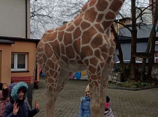 Gr.IV Wśród zwierząt egzotycznych