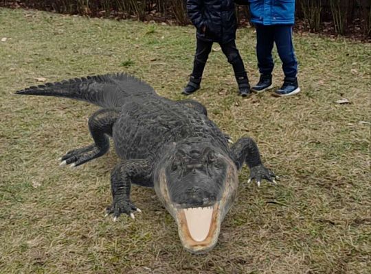 Gr.IV Wśród zwierząt egzotycznych