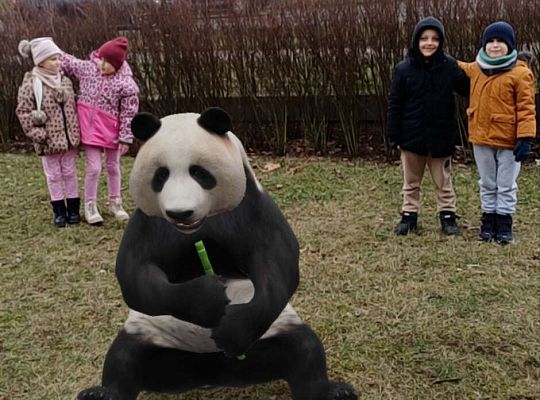 Gr.IV Wśród zwierząt egzotycznych