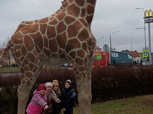 Gr.IV Wśród zwierząt egzotycznych