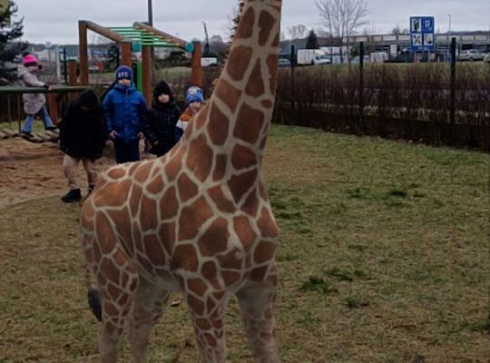 Gr.IV Wśród zwierząt egzotycznych