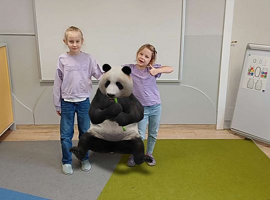 Gr.IV Wśród zwierząt egzotycznych