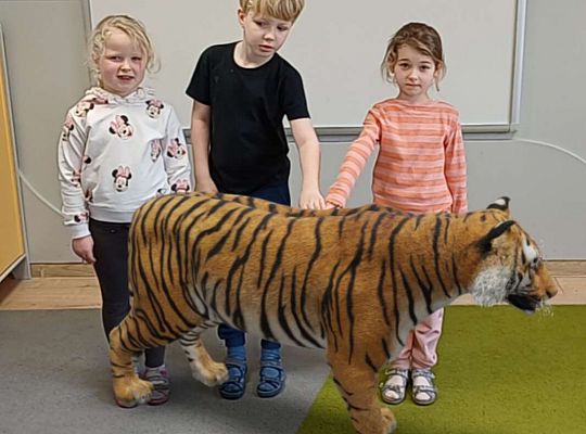 Gr.IV Wśród zwierząt egzotycznych