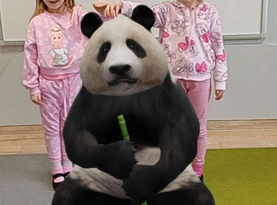 Gr.IV Wśród zwierząt egzotycznych