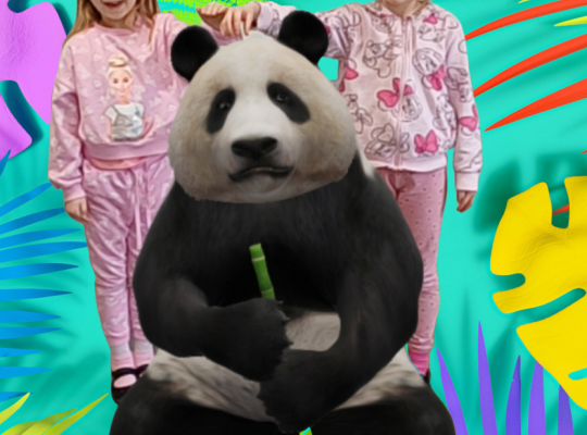 Gr.IV Wśród zwierząt egzotycznych