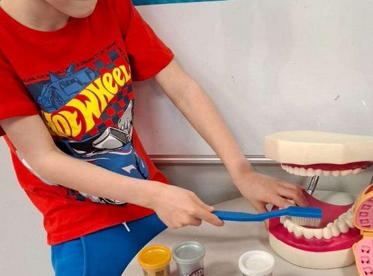 Gr. IV Klub mleczaka - projekt