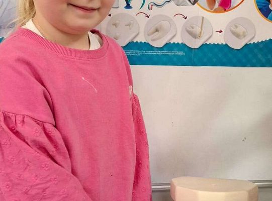 Gr. IV Klub mleczaka - projekt