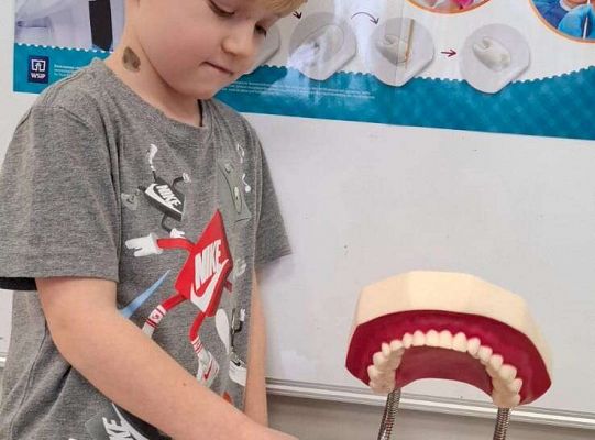 Gr. IV Klub mleczaka - projekt