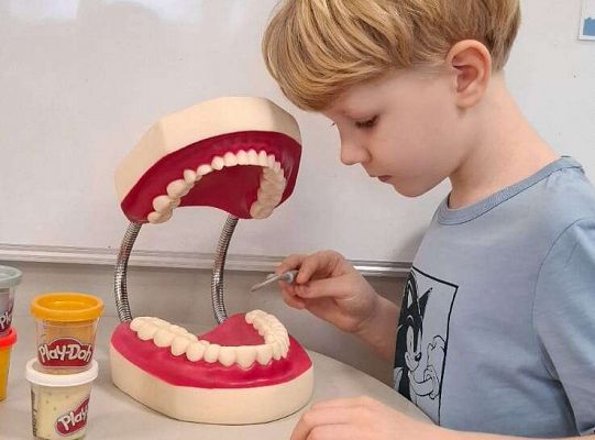 Gr. IV Klub mleczaka - projekt