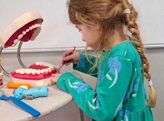 Gr. IV Klub mleczaka - projekt