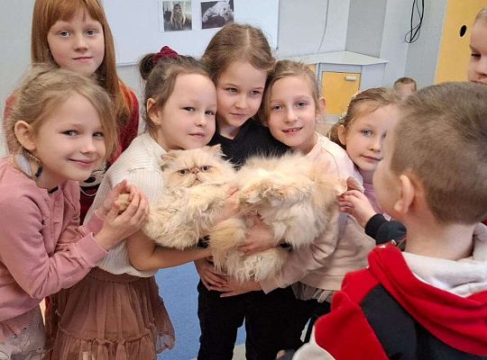 Gr. IV I III  "Dzień Kota"