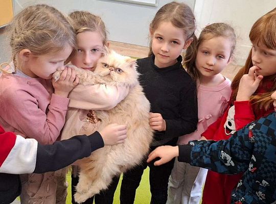 Gr. IV I III  "Dzień Kota"