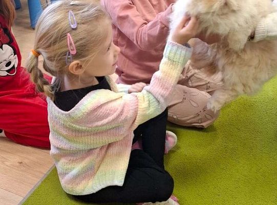 Gr. IV I III  "Dzień Kota"