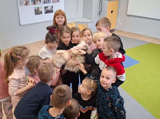 Gr. IV I III  "Dzień Kota"