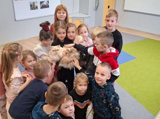 Gr. IV I III  "Dzień Kota"