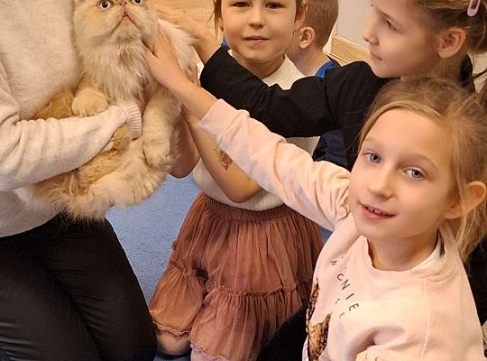 Gr. IV I III  "Dzień Kota"