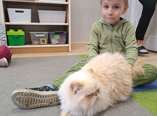 Gr.I i Gr.II Dzień Kota