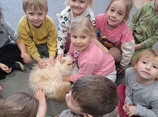 Gr.I i Gr.II Dzień Kota