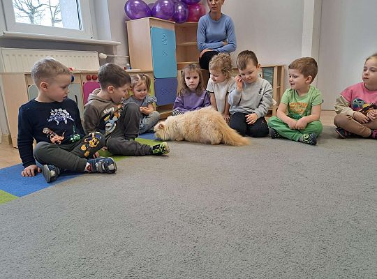 Gr.I i Gr.II Dzień Kota