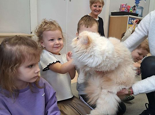 Gr.I i Gr.II Dzień Kota