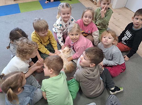 Gr.I i Gr.II Dzień Kota