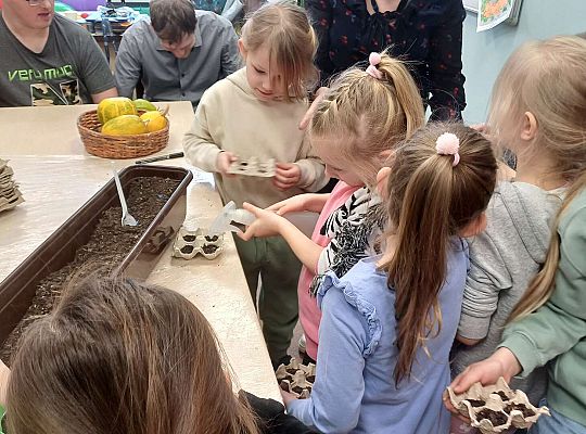 Gr. IV Zajęcia w Warsztacie Terapii Zajęciowej