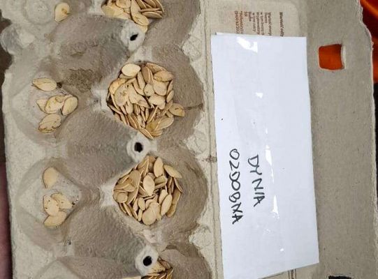 Gr. IV Zajęcia w Warsztacie Terapii Zajęciowej