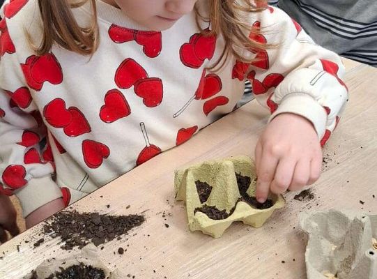 Gr. IV Zajęcia w Warsztacie Terapii Zajęciowej