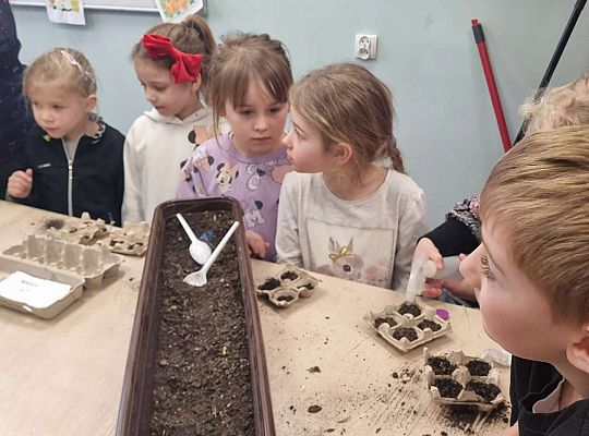 Gr. IV Zajęcia w Warsztacie Terapii Zajęciowej