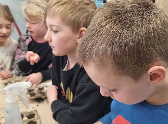 Gr. IV Zajęcia w Warsztacie Terapii Zajęciowej