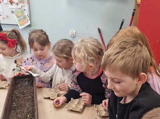 Gr. IV Zajęcia w Warsztacie Terapii Zajęciowej