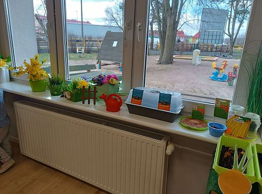 Gr.I Zielony ogródek w sali