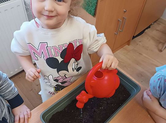 Gr.I Zielony ogródek w sali