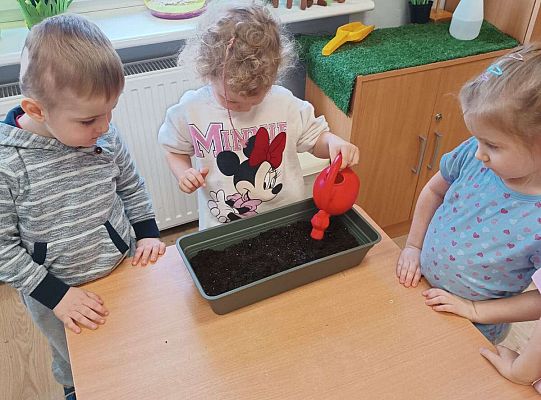 Gr.I Zielony ogródek w sali