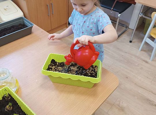 Gr.I Zielony ogródek w sali