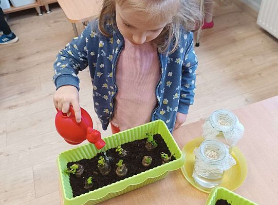 Gr.I Zielony ogródek w sali