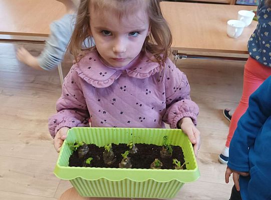 Gr.I Zielony ogródek w sali