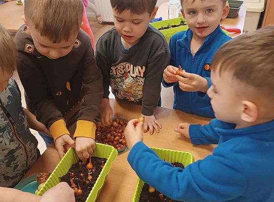 Gr.I Zielony ogródek w sali