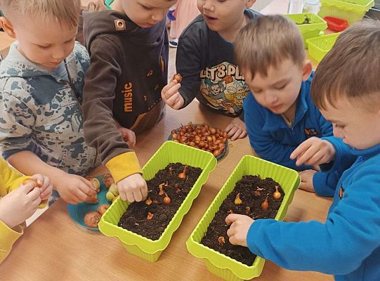 Gr.I Zielony ogródek w sali