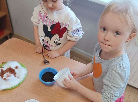 Gr.I Zielony ogródek w sali