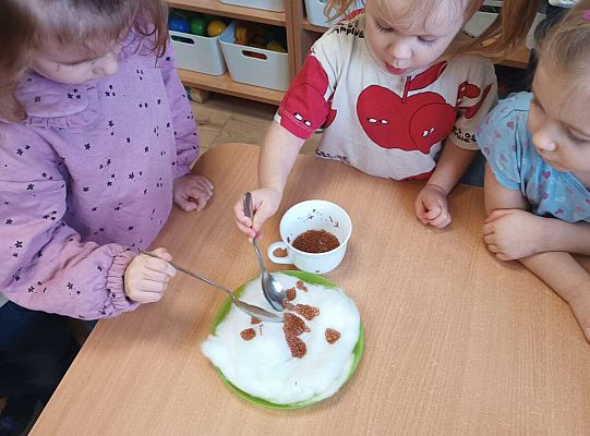 Gr.I Zielony ogródek w sali