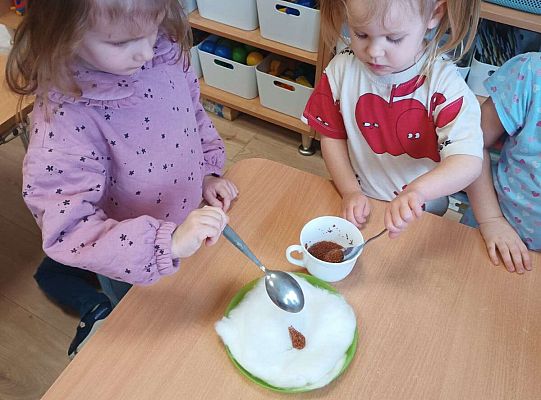 Gr.I Zielony ogródek w sali