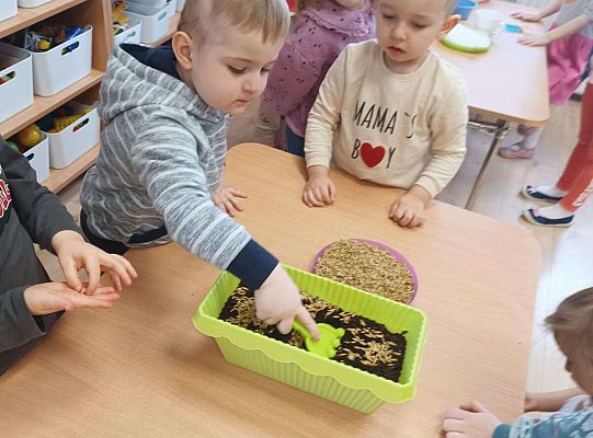 Gr.I Zielony ogródek w sali