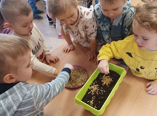 Gr.I Zielony ogródek w sali