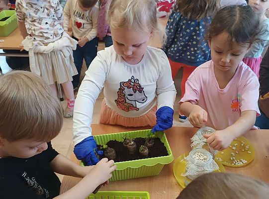 Gr.I Zielony ogródek w sali