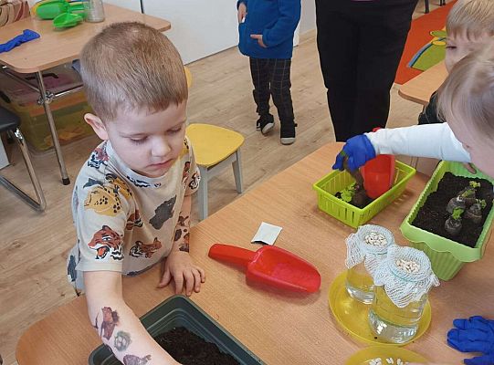 Gr.I Zielony ogródek w sali