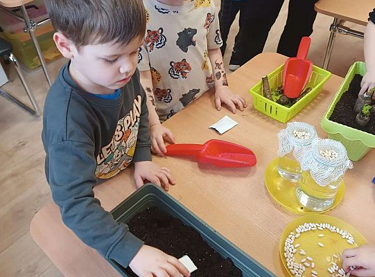 Gr.I Zielony ogródek w sali